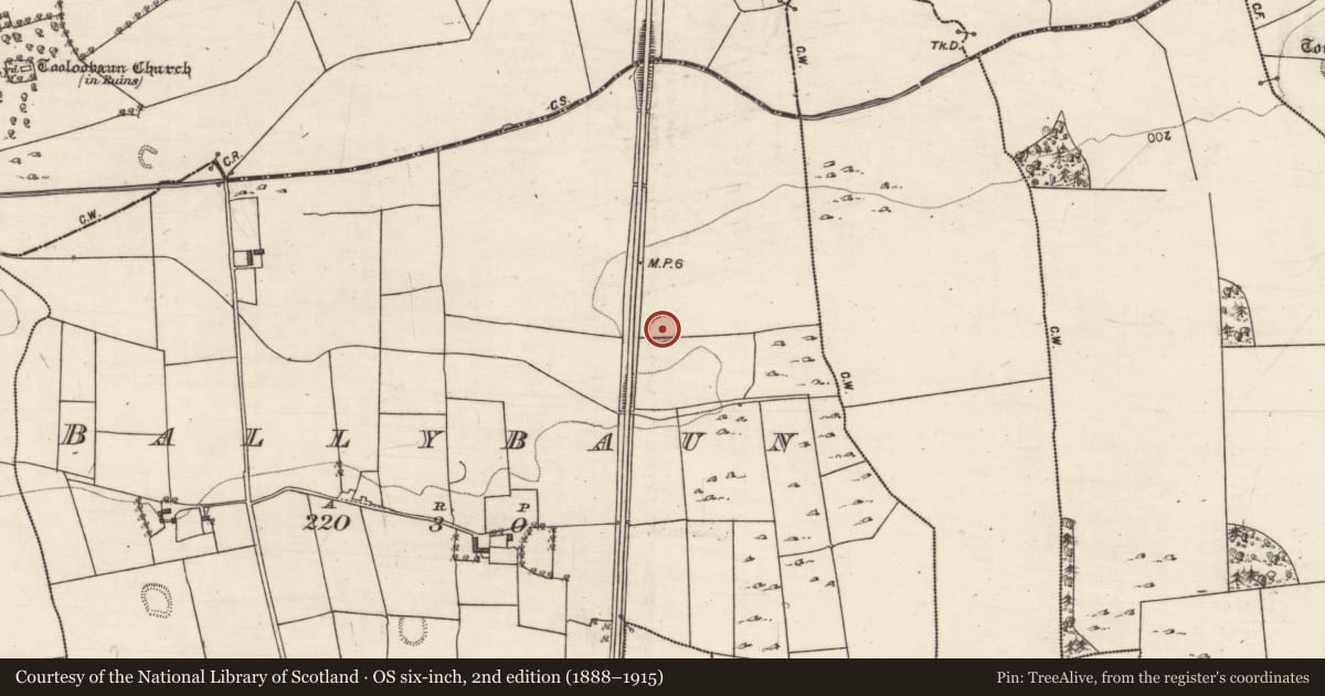 Ordnance Survey six-inch map, 2nd edition (1888–1915) covering the location of Bullaun stone, Ballybaun, County Galway, with a pin at the register's coordinates