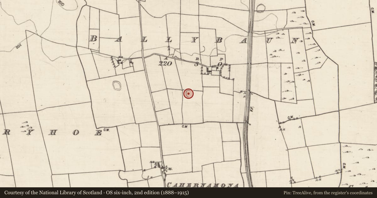 Ordnance Survey six-inch map, 2nd edition (1888–1915) covering the location of Ringfort - rath, Ballybaun, County Galway, with a pin at the register's coordinates