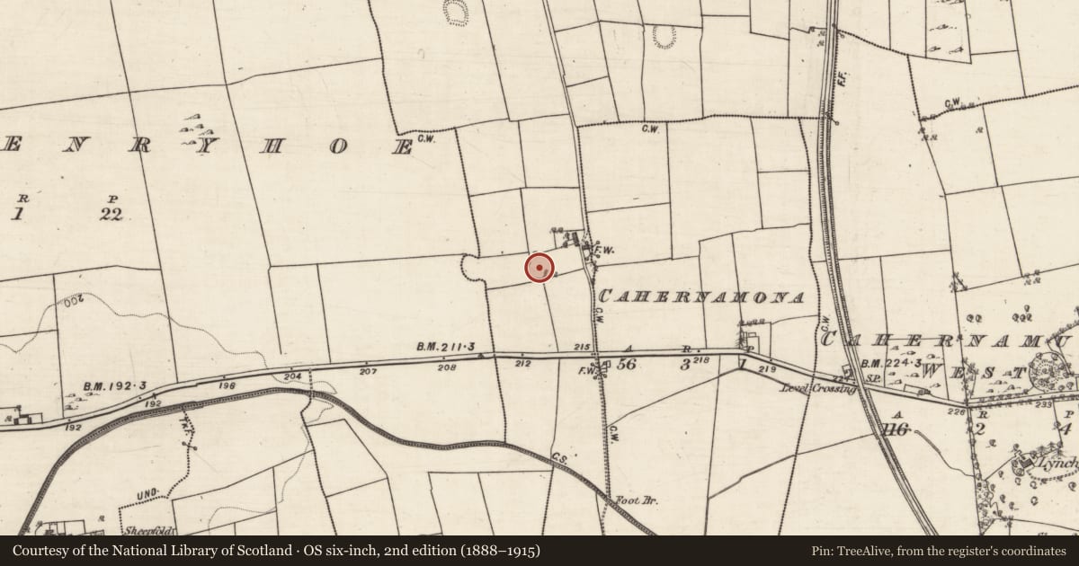 Ordnance Survey six-inch map, 2nd edition (1888–1915) covering the location of Souterrain, Ballybaun, County Galway, with a pin at the register's coordinates