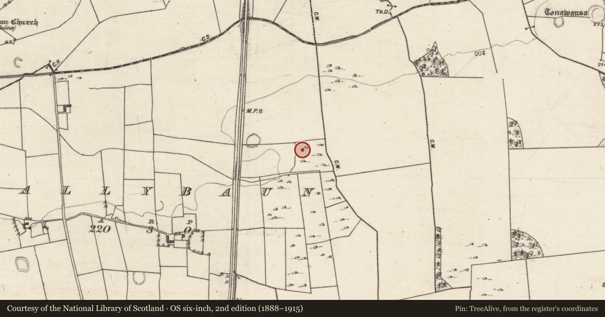 Ordnance Survey six-inch map, 2nd edition (1888–1915) covering the location of Ringfort - rath, Ballybaun, County Galway, with a pin at the register's coordinates