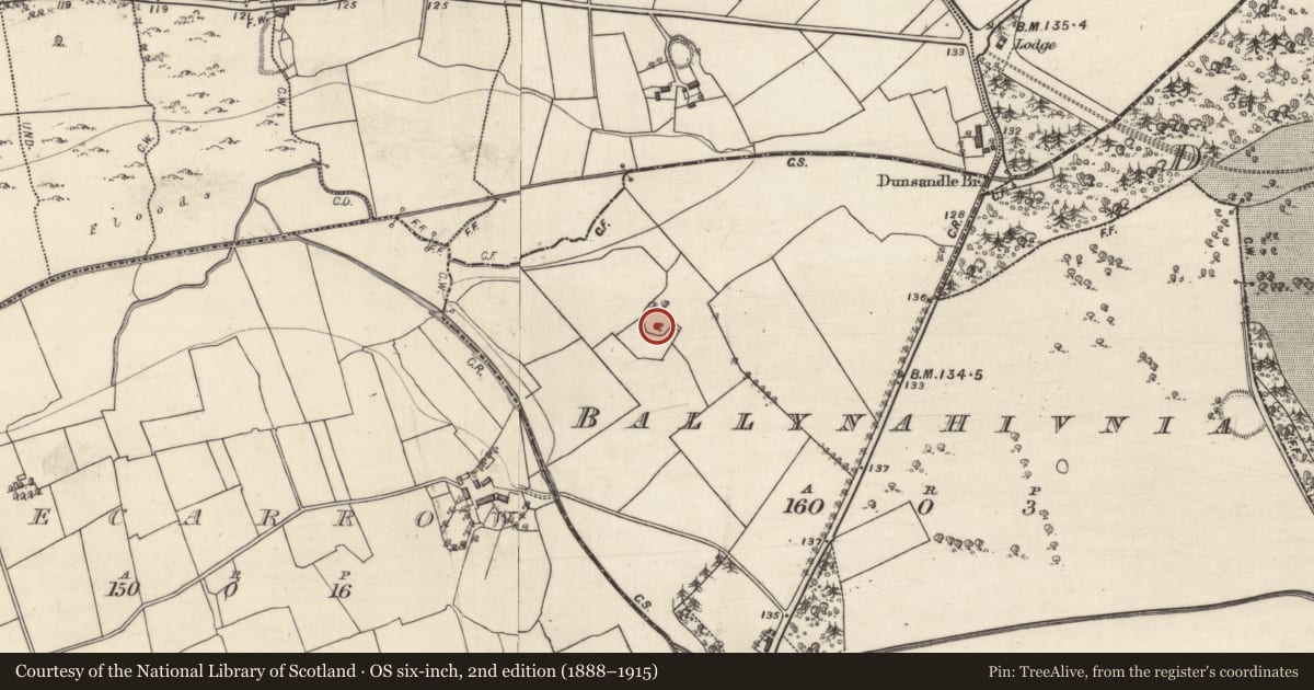 Ordnance Survey six-inch map, 2nd edition (1888–1915) covering the location of Ringfort - rath, Ballynahivnia, County Galway, with a pin at the register's coordinates
