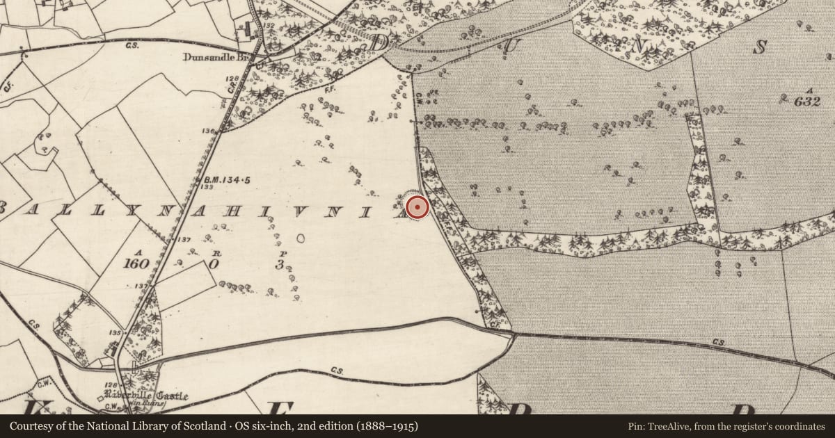 Ordnance Survey six-inch map, 2nd edition (1888–1915) covering the location of Ringfort - rath, Ballynahivnia, Dunsandle, County Galway, with a pin at the register's coordinates