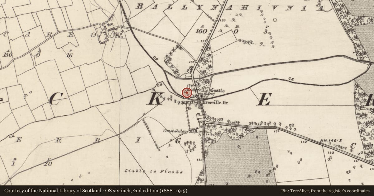 Ordnance Survey six-inch map, 2nd edition (1888–1915) covering the location of Castle - tower house, Ballynahivnia, County Galway, with a pin at the register's coordinates