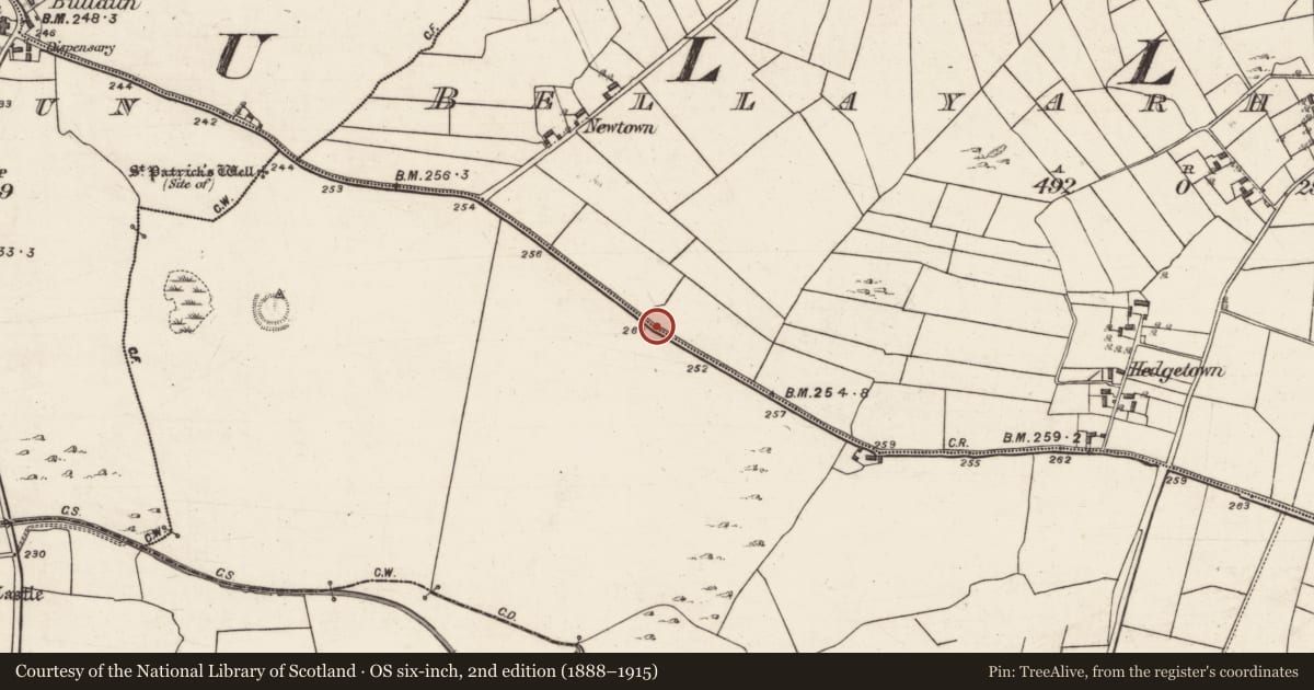 Ordnance Survey six-inch map, 2nd edition (1888–1915) covering the location of Enclosure, Bellayarha North, County Galway, with a pin at the register's coordinates