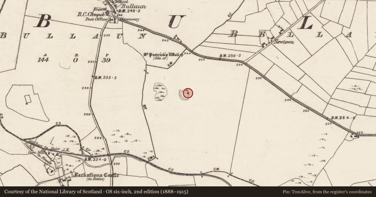 Ordnance Survey six-inch map, 2nd edition (1888–1915) covering the location of Ringfort - rath, Bellayarha South, County Galway, with a pin at the register's coordinates
