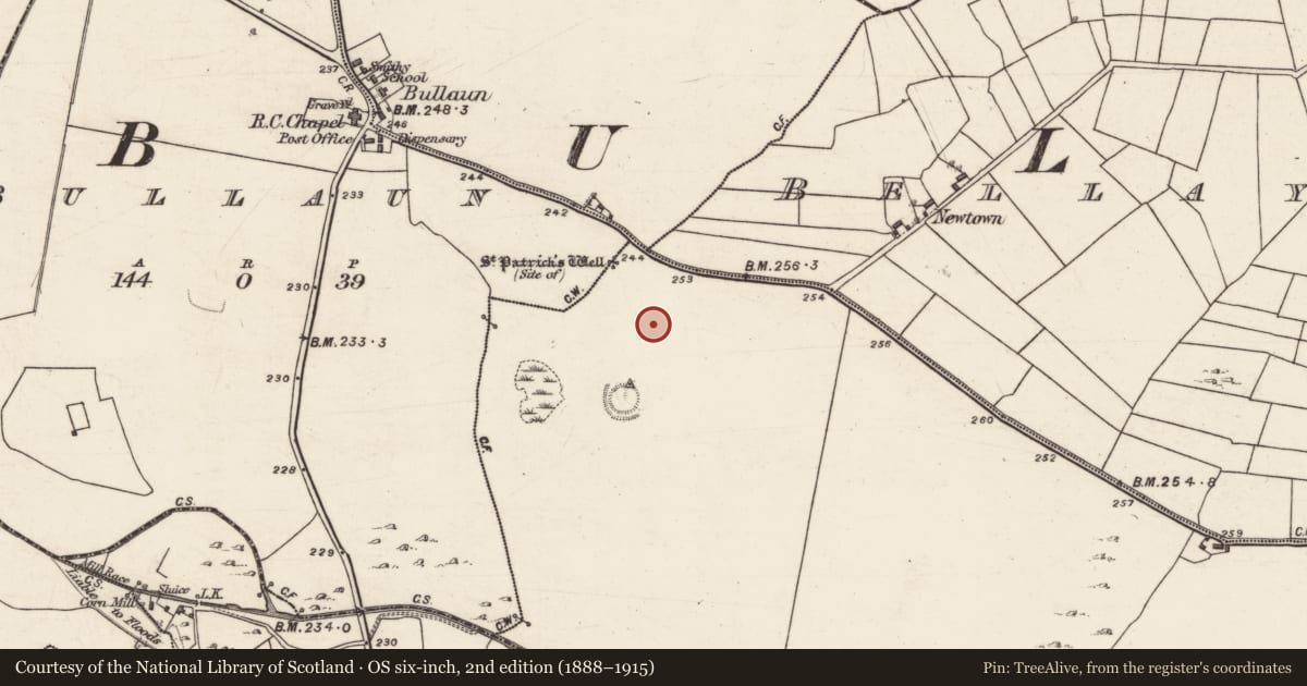 Ordnance Survey six-inch map, 2nd edition (1888–1915) covering the location of Enclosure, Bellayarha South, County Galway, with a pin at the register's coordinates