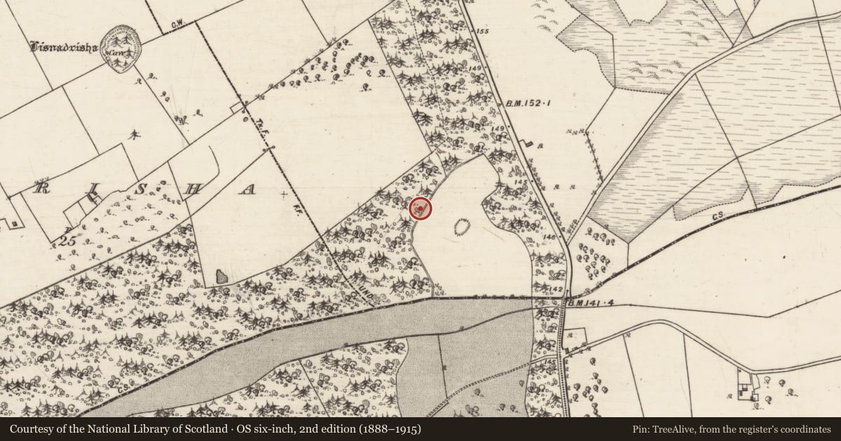 Ordnance Survey six-inch map, 2nd edition (1888–1915) covering the location of Mound, Bookeen South, County Galway, with a pin at the register's coordinates