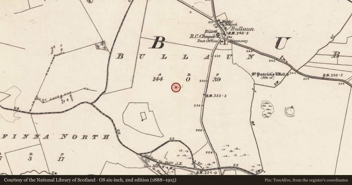 Ordnance Survey six-inch map, 2nd edition (1888–1915) covering the location of Ringfort - rath, Bullaun, County Galway, with a pin at the register's coordinates