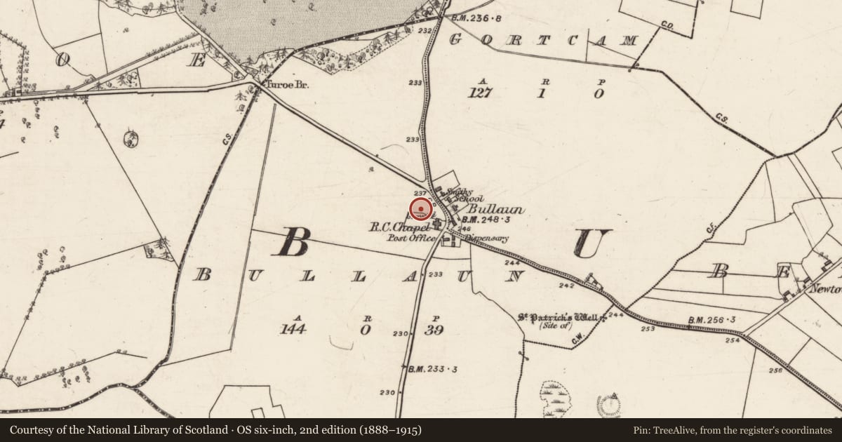 Ordnance Survey six-inch map, 2nd edition (1888–1915) covering the location of Church, Bullaun, County Galway, with a pin at the register's coordinates