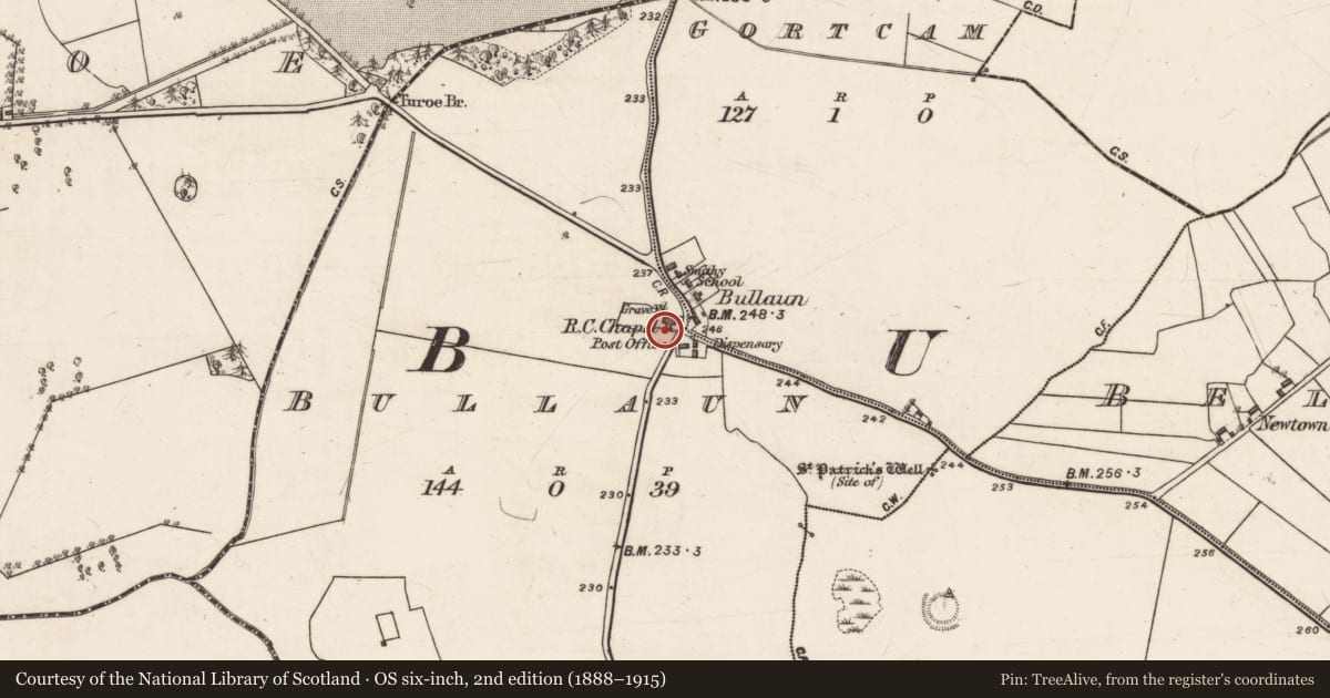 Ordnance Survey six-inch map, 2nd edition (1888–1915) covering the location of Church, Bullaun, County Galway, with a pin at the register's coordinates