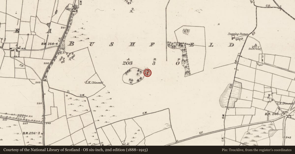 Ordnance Survey six-inch map, 2nd edition (1888–1915) covering the location of Designed landscape - tree-ring, Bushfield, County Galway, with a pin at the register's coordinates