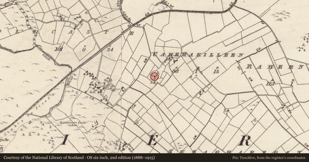 Ordnance Survey six-inch map, 2nd edition (1888–1915) covering the location of Ringfort - cashel, Caherakilleen, County Galway, with a pin at the register's coordinates