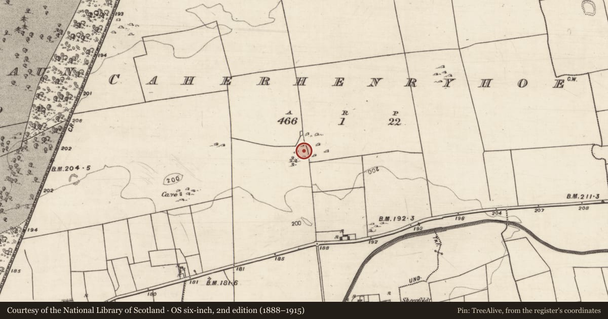 Ordnance Survey six-inch map, 2nd edition (1888–1915) covering the location of Souterrain, Caherhenryhoe, County Galway, with a pin at the register's coordinates