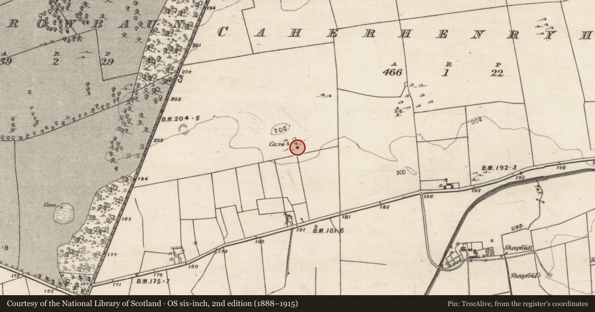 Ordnance Survey six-inch map, 2nd edition (1888–1915) covering the location of Ringfort - rath, Caherhenryhoe, County Galway, with a pin at the register's coordinates