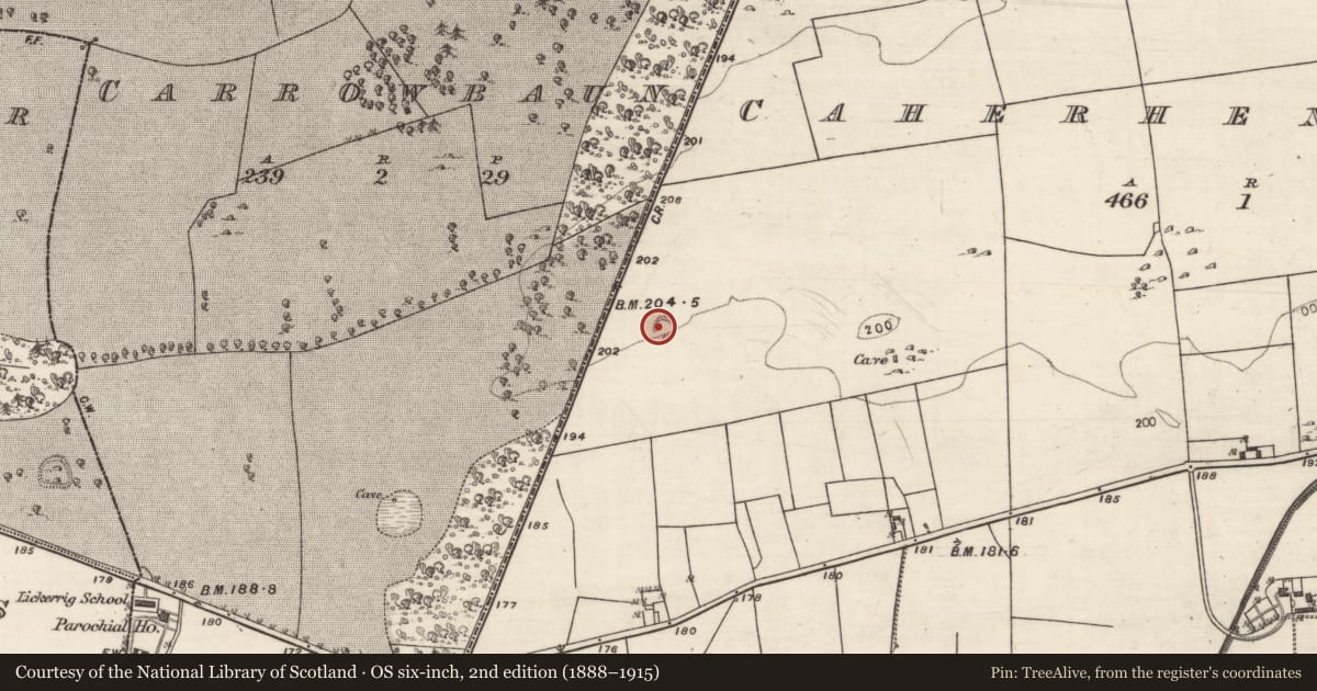 Ordnance Survey six-inch map, 2nd edition (1888–1915) covering the location of Ringfort - rath, Caherhenryhoe, County Galway, with a pin at the register's coordinates