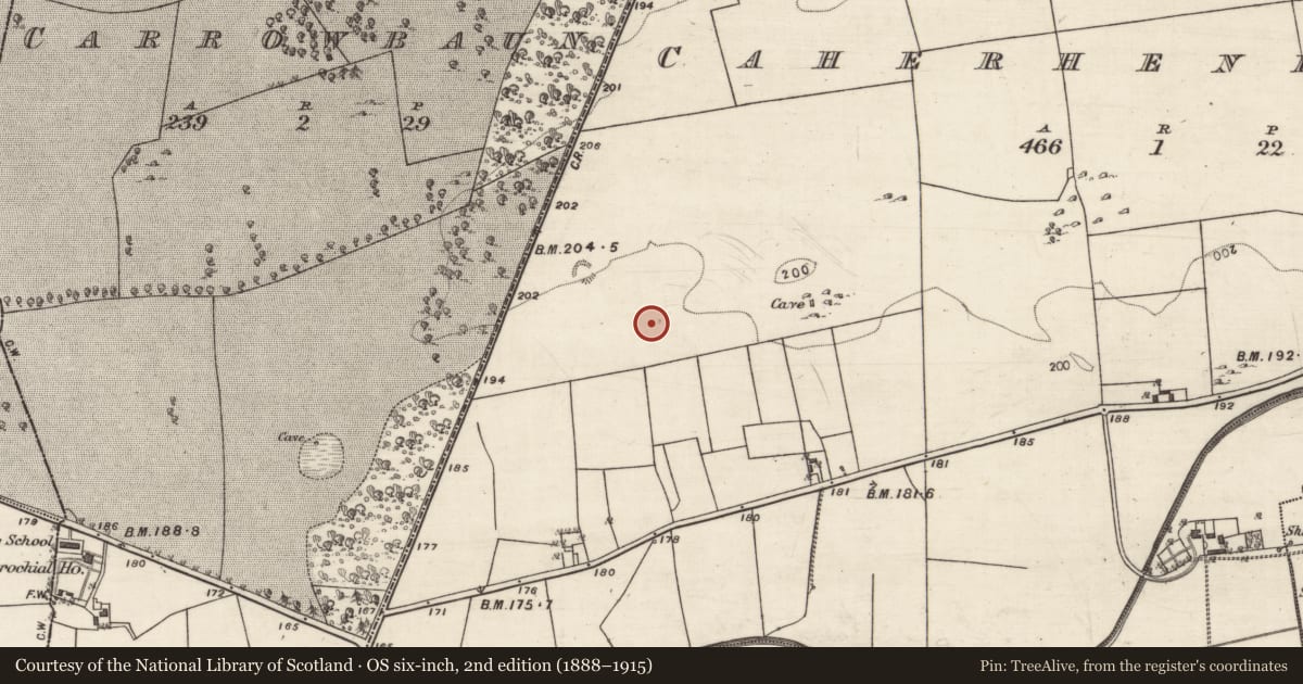 Ordnance Survey six-inch map, 2nd edition (1888–1915) covering the location of Ringfort - rath, Caherhenryhoe, County Galway, with a pin at the register's coordinates