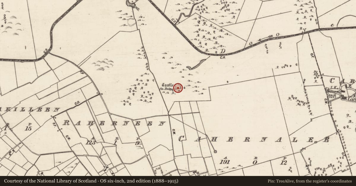 Ordnance Survey six-inch map, 2nd edition (1888–1915) covering the location of Bawn, Cahernalee, County Galway, with a pin at the register's coordinates