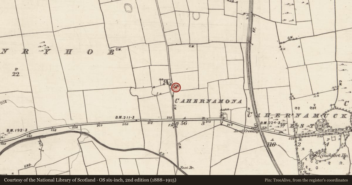 Ordnance Survey six-inch map, 2nd edition (1888–1915) covering the location of Ringfort - rath, Cahernamona, County Galway, with a pin at the register's coordinates