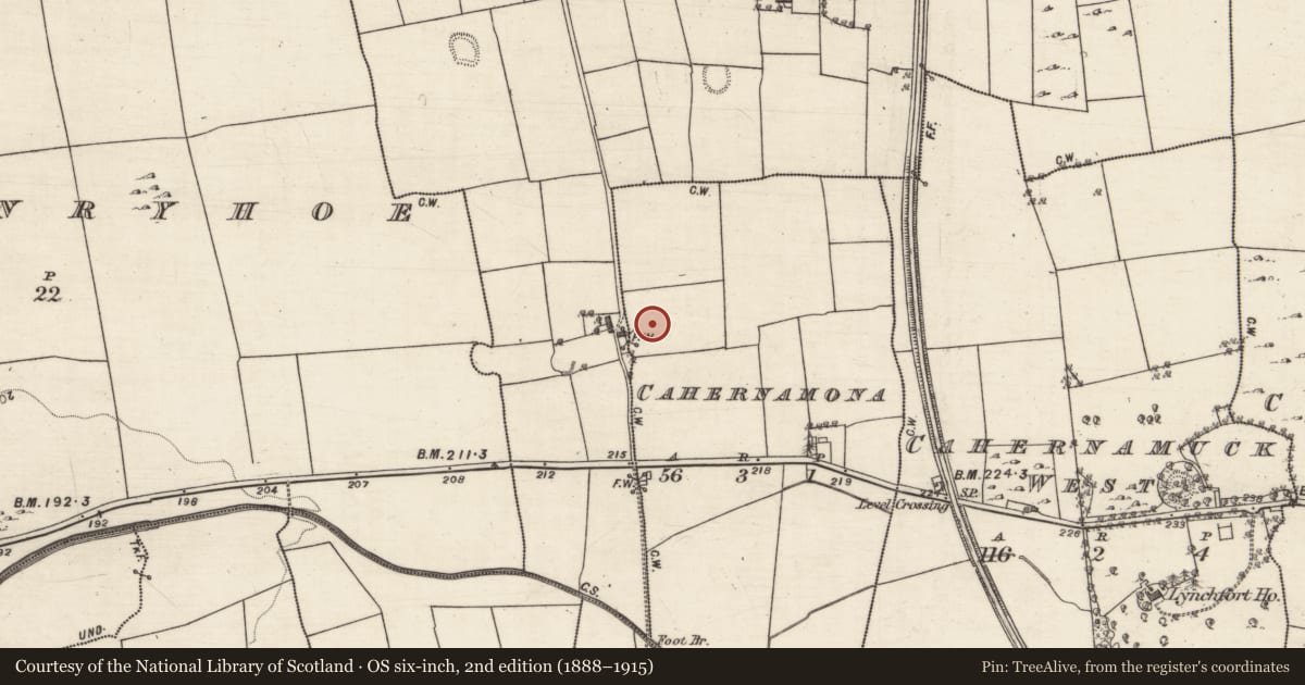 Ordnance Survey six-inch map, 2nd edition (1888–1915) covering the location of Souterrain, Cahernamona, County Galway, with a pin at the register's coordinates
