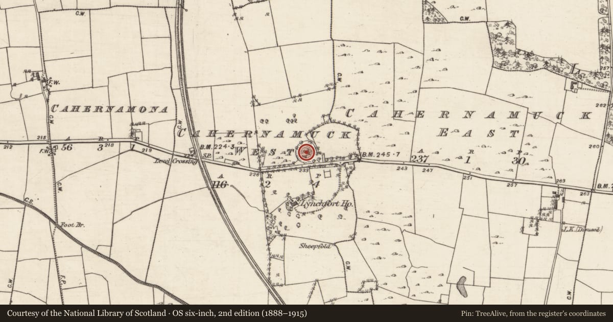 Ordnance Survey six-inch map, 2nd edition (1888–1915) covering the location of Souterrain, Cahernamuck West, County Galway, with a pin at the register's coordinates
