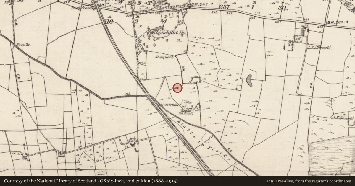 Ordnance Survey six-inch map, 2nd edition (1888–1915) covering the location of Designed landscape - tree-ring, Cahernamuck West, County Galway, with a pin at the register's coordinates