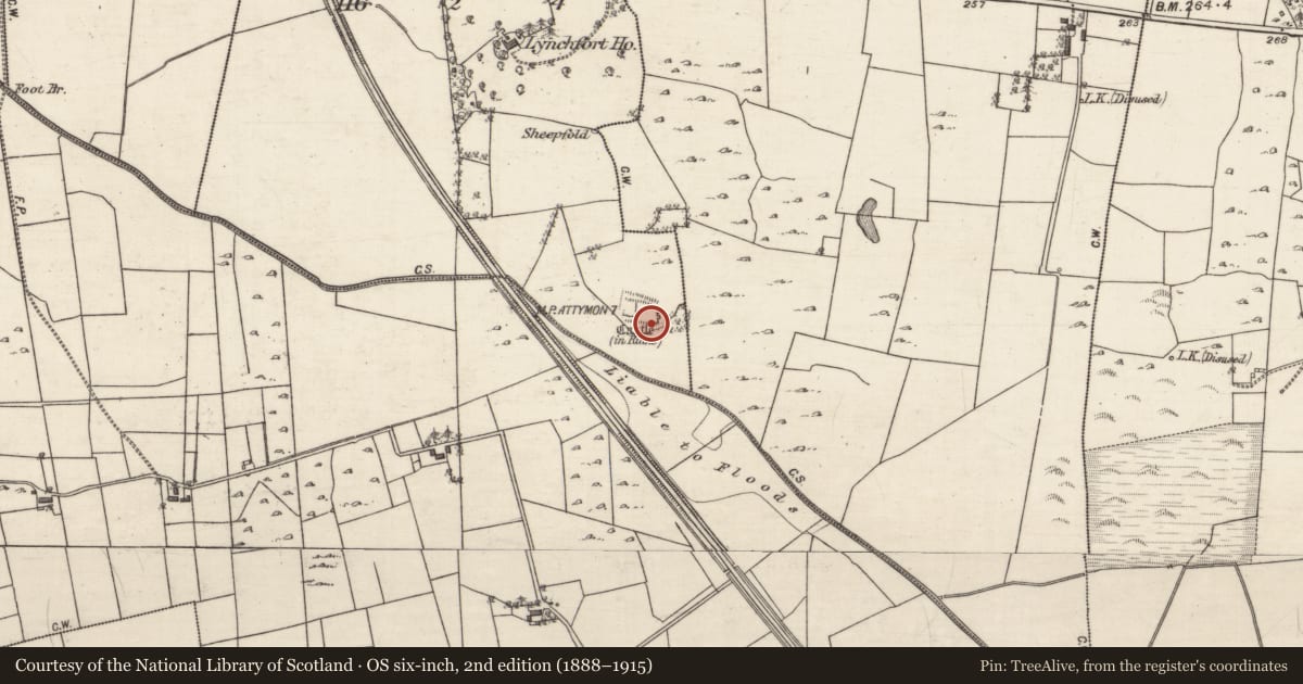 Ordnance Survey six-inch map, 2nd edition (1888–1915) covering the location of Castle - tower house, Cahernamuck West, County Galway, with a pin at the register's coordinates