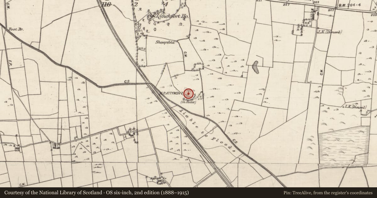 Ordnance Survey six-inch map, 2nd edition (1888–1915) covering the location of Moated site, Cahernamuck West, County Galway, with a pin at the register's coordinates