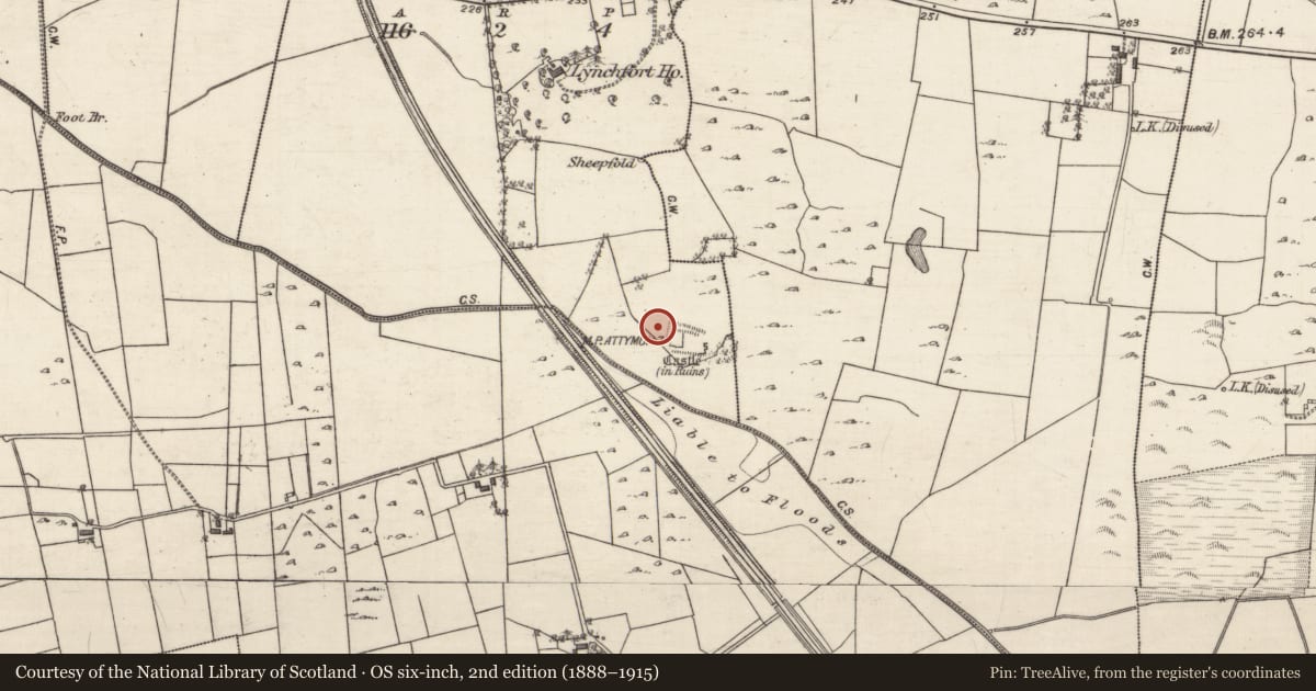 Ordnance Survey six-inch map, 2nd edition (1888–1915) covering the location of Enclosure, Cahernamuck West, County Galway, with a pin at the register's coordinates