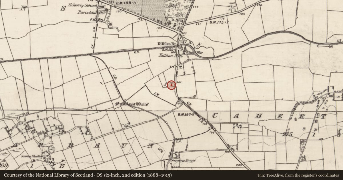 Ordnance Survey six-inch map, 2nd edition (1888–1915) covering the location of Church, Cahertinny, County Galway, with a pin at the register's coordinates