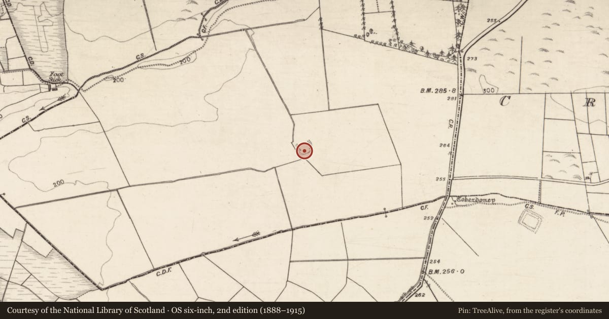 Ordnance Survey six-inch map, 2nd edition (1888–1915) covering the location of Ringfort - rath, Caraun More, County Galway, with a pin at the register's coordinates