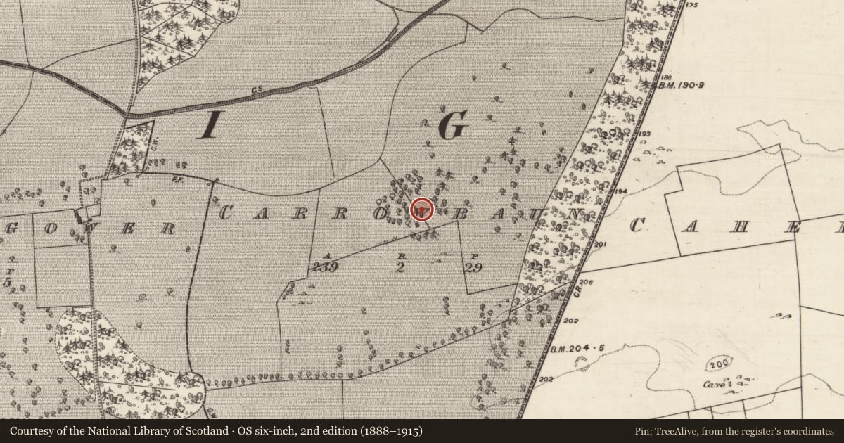 Ordnance Survey six-inch map, 2nd edition (1888–1915) covering the location of Designed landscape feature, Carrowbaun, County Galway, with a pin at the register's coordinates