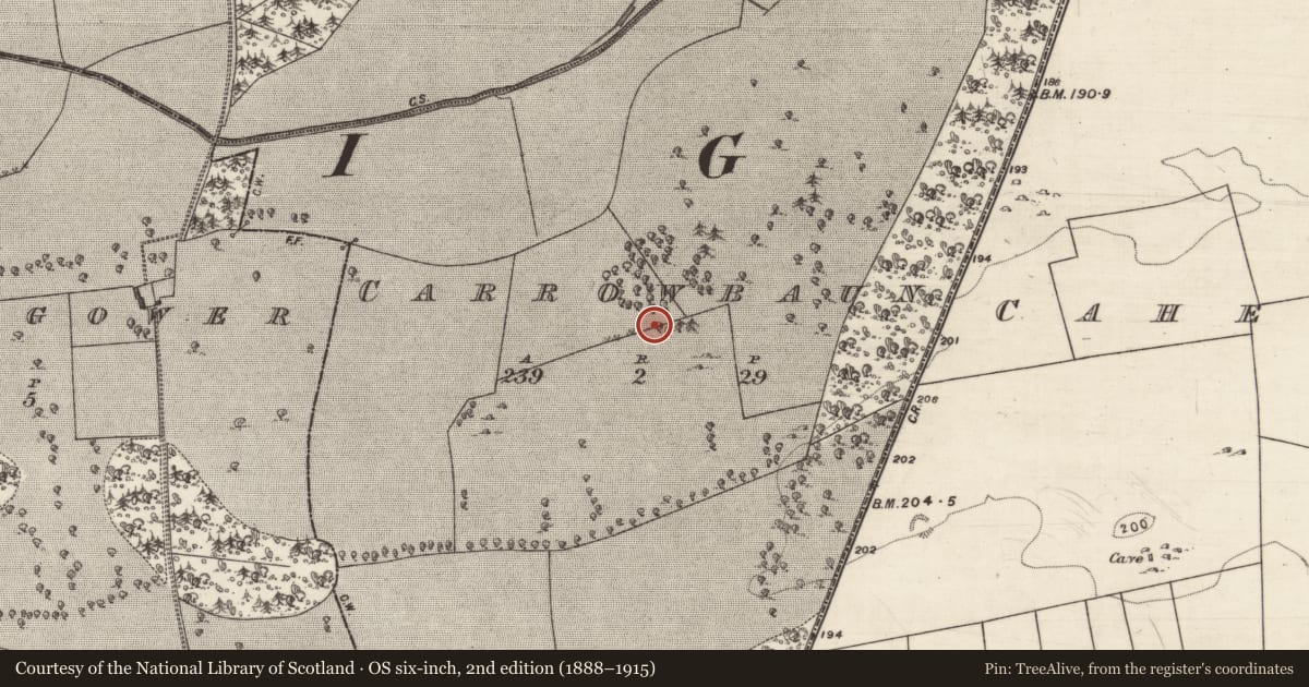 Ordnance Survey six-inch map, 2nd edition (1888–1915) covering the location of Chapel, Carrowbaun, County Galway, with a pin at the register's coordinates