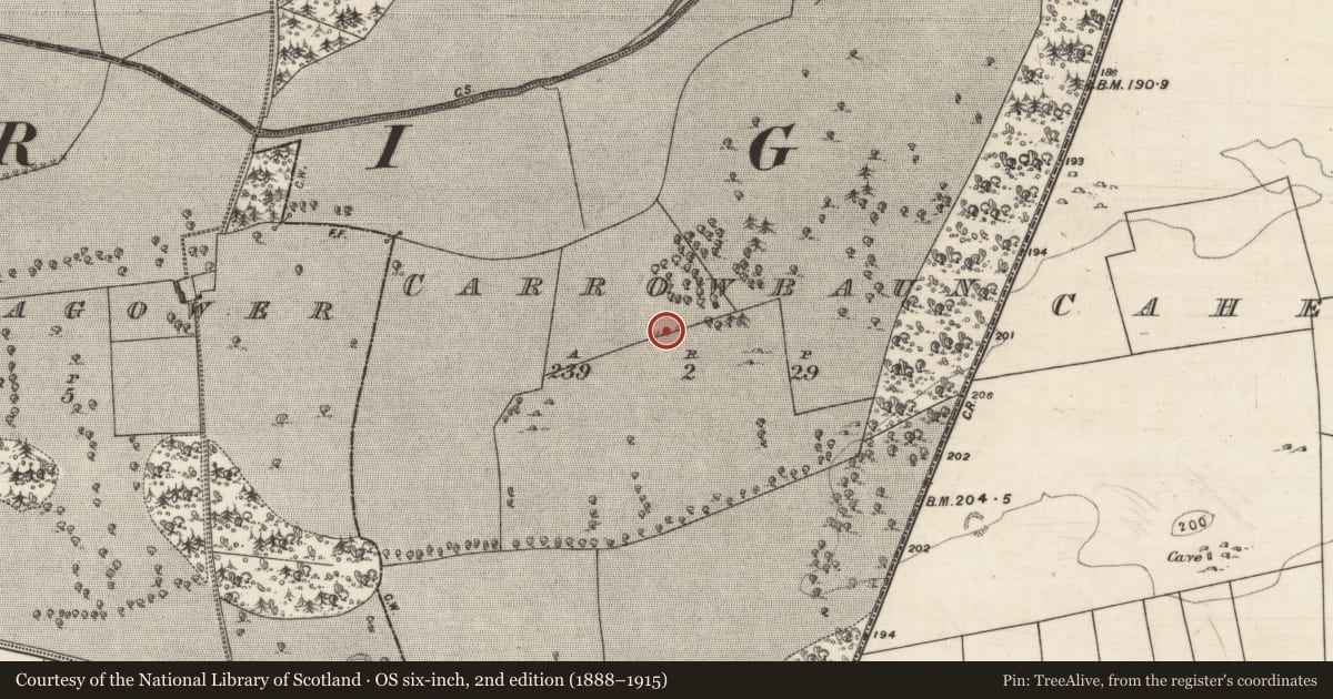 Ordnance Survey six-inch map, 2nd edition (1888–1915) covering the location of Standing stone, Carrowbaun, County Galway, with a pin at the register's coordinates
