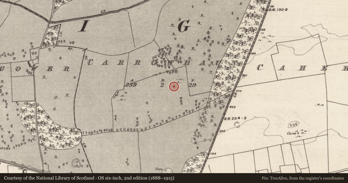 Ordnance Survey six-inch map, 2nd edition (1888–1915) covering the location of Mound, Carrowbaun, County Galway, with a pin at the register's coordinates