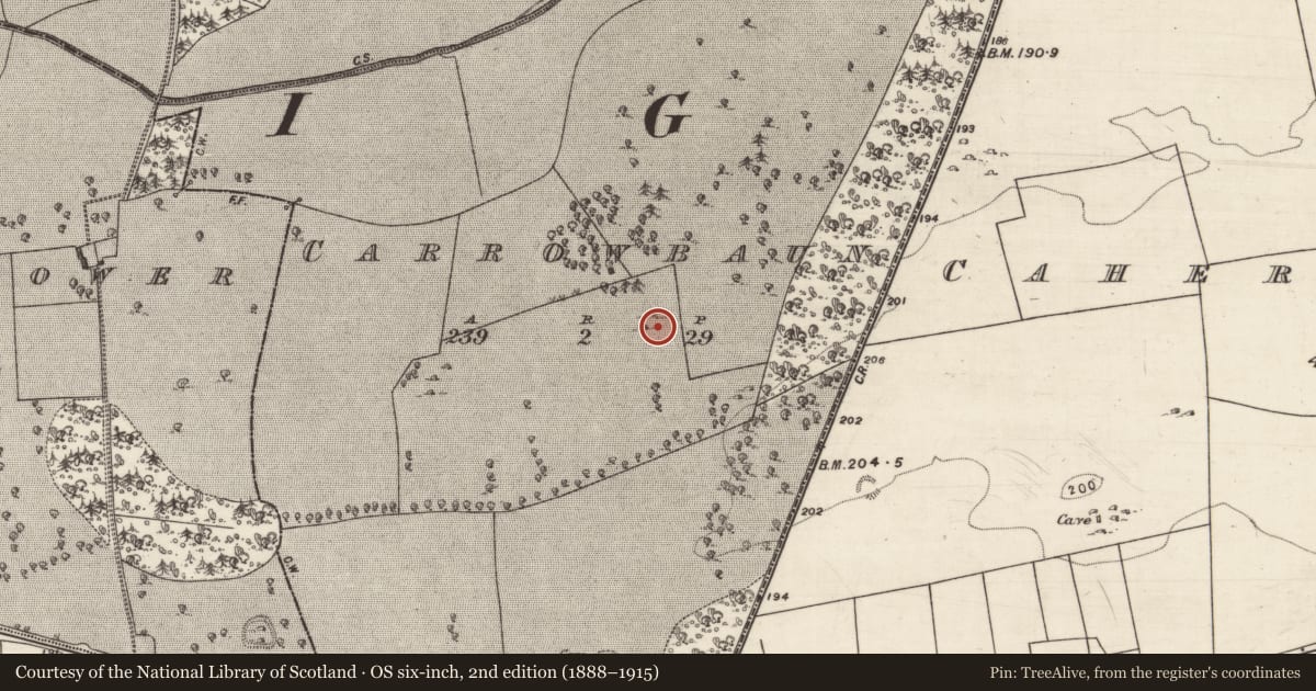 Ordnance Survey six-inch map, 2nd edition (1888–1915) covering the location of House - indeterminate date, Carrowbaun, County Galway, with a pin at the register's coordinates