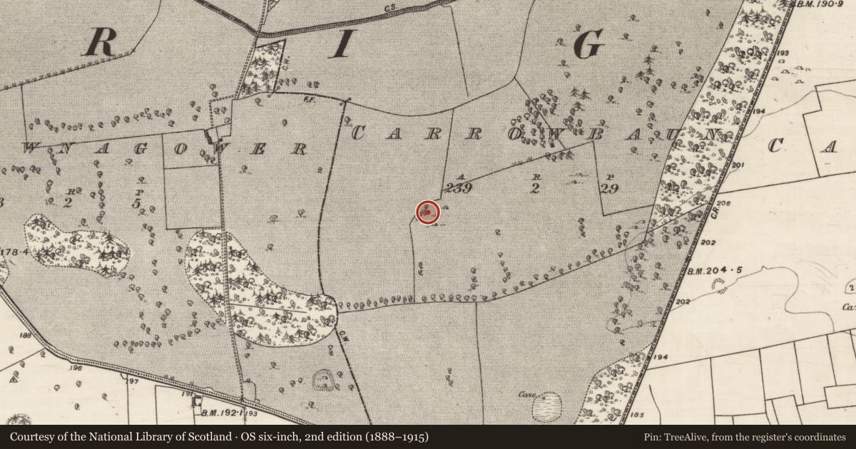 Ordnance Survey six-inch map, 2nd edition (1888–1915) covering the location of Souterrain, Carrowbaun, County Galway, with a pin at the register's coordinates