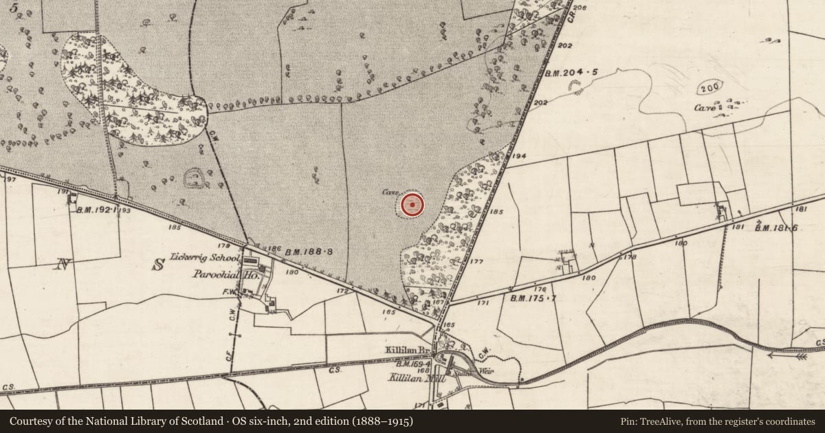 Ordnance Survey six-inch map, 2nd edition (1888–1915) covering the location of Ringfort - cashel, Carrowbaun, County Galway, with a pin at the register's coordinates