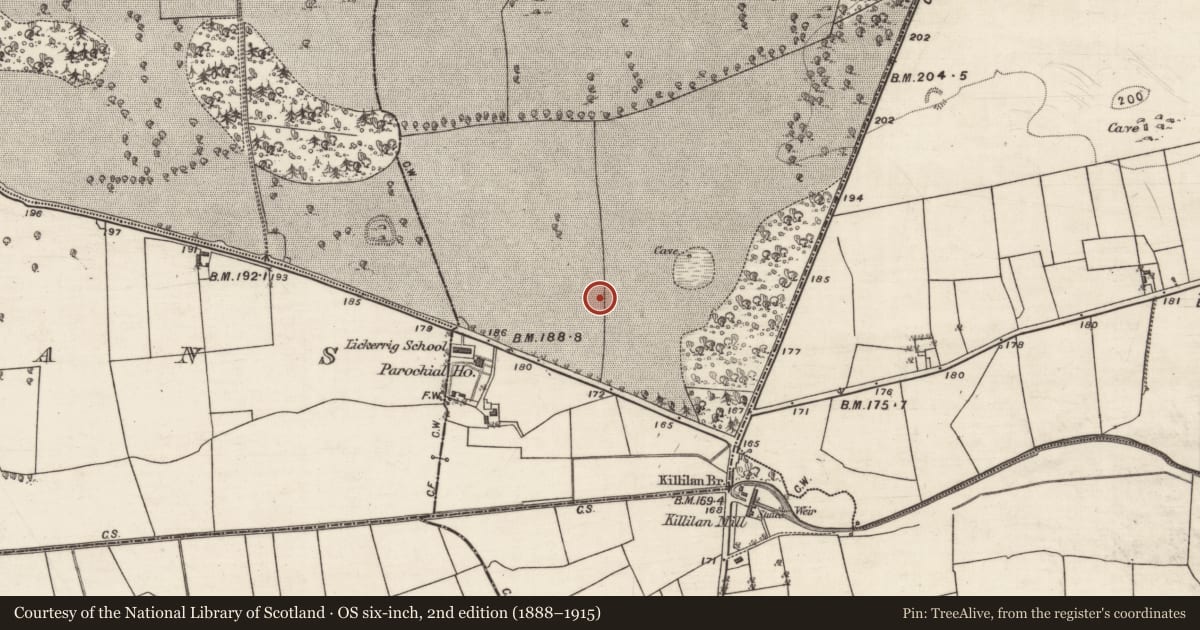 Ordnance Survey six-inch map, 2nd edition (1888–1915) covering the location of Ringfort - rath, Carrowbaun, County Galway, with a pin at the register's coordinates