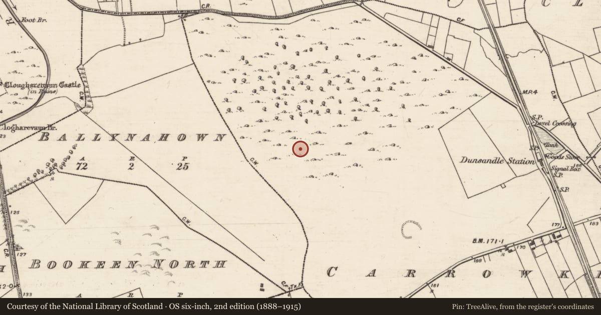 Ordnance Survey six-inch map, 2nd edition (1888–1915) covering the location of Ringfort - cashel, Carrowkeel, County Galway, with a pin at the register's coordinates