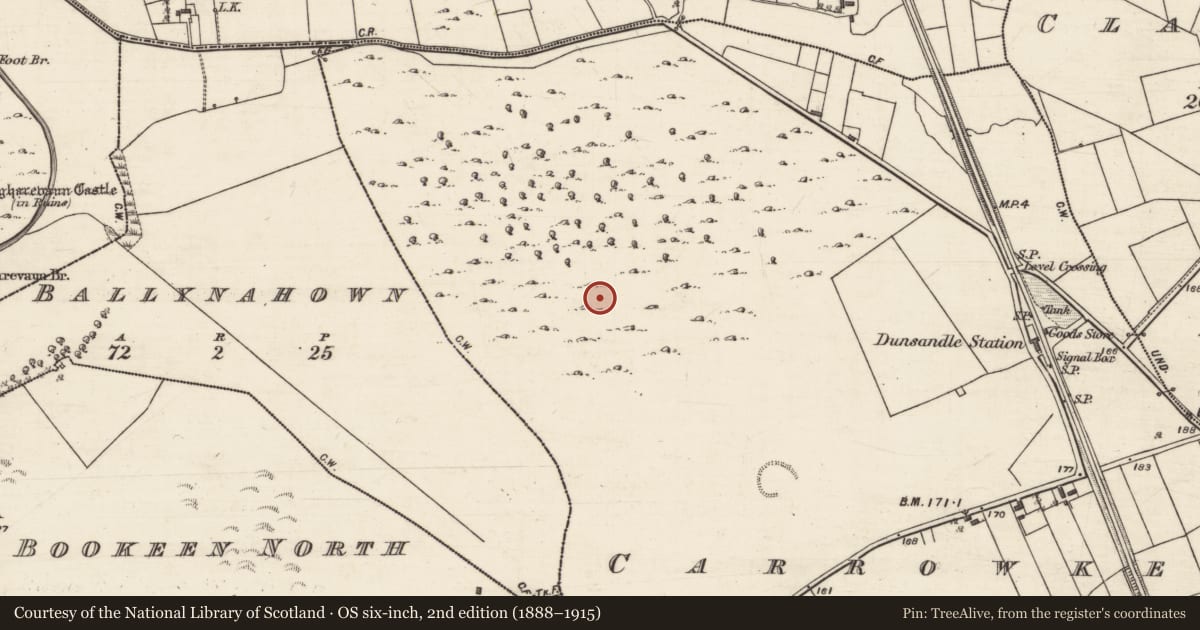 Ordnance Survey six-inch map, 2nd edition (1888–1915) covering the location of Souterrain, Carrowkeel, County Galway, with a pin at the register's coordinates