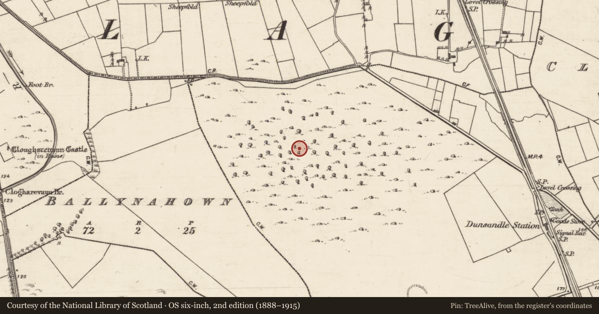 Ordnance Survey six-inch map, 2nd edition (1888–1915) covering the location of Field system, Carrowkeel, County Galway, with a pin at the register's coordinates