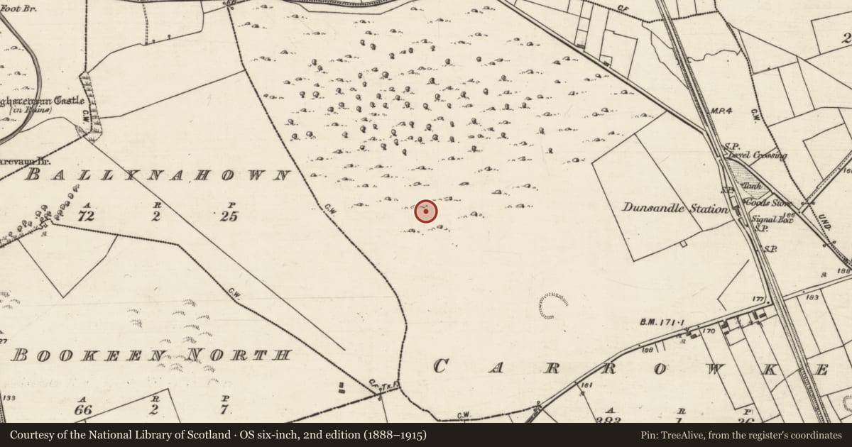 Ordnance Survey six-inch map, 2nd edition (1888–1915) covering the location of Ringfort - cashel, Carrowkeel, County Galway, with a pin at the register's coordinates