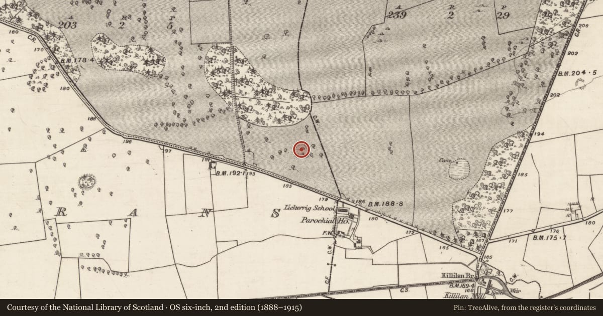 Ordnance Survey six-inch map, 2nd edition (1888–1915) covering the location of Ringfort - cashel, Carrownagower, County Galway, with a pin at the register's coordinates