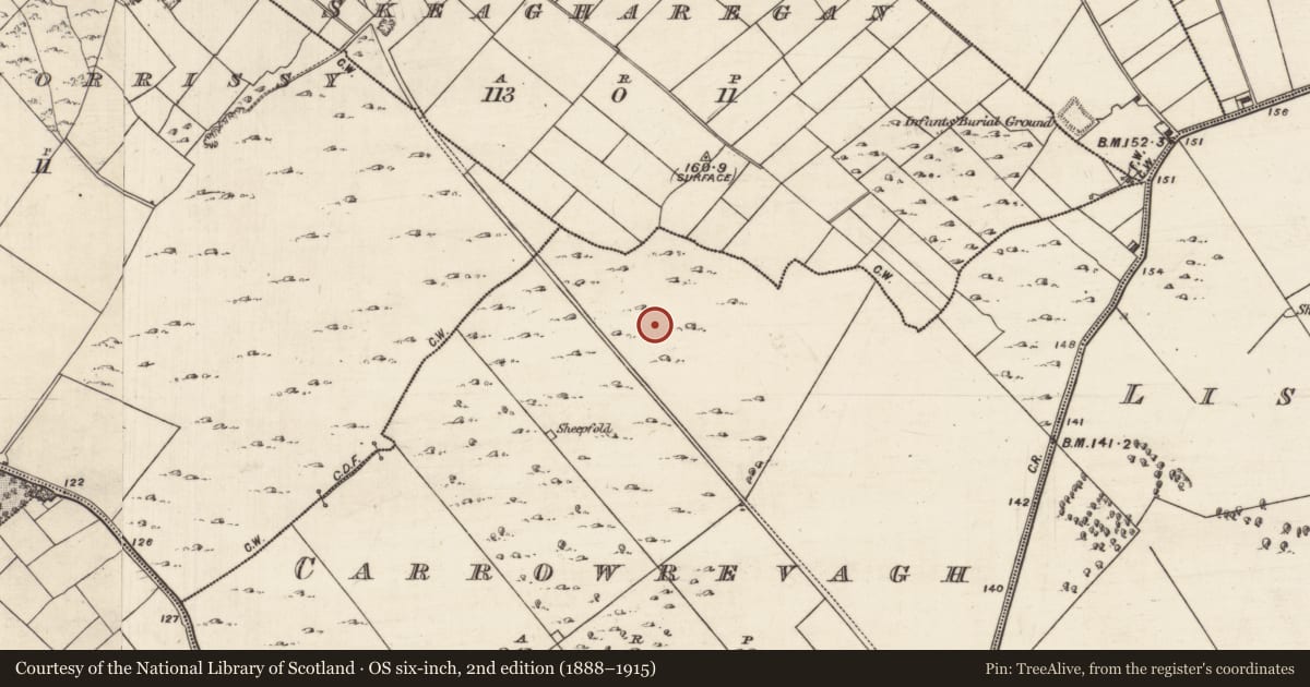 Ordnance Survey six-inch map, 2nd edition (1888–1915) covering the location of Ringfort - cashel, Carrowrevagh, County Galway, with a pin at the register's coordinates