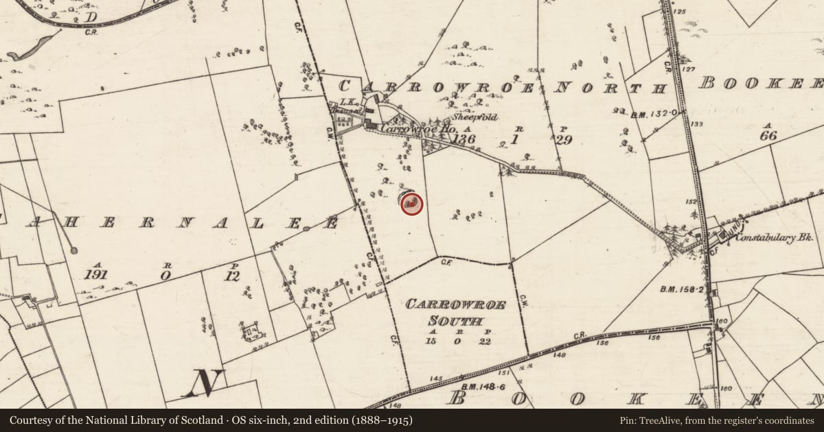 Ordnance Survey six-inch map, 2nd edition (1888–1915) covering the location of Ringfort - rath, Carrowroe North, County Galway, with a pin at the register's coordinates