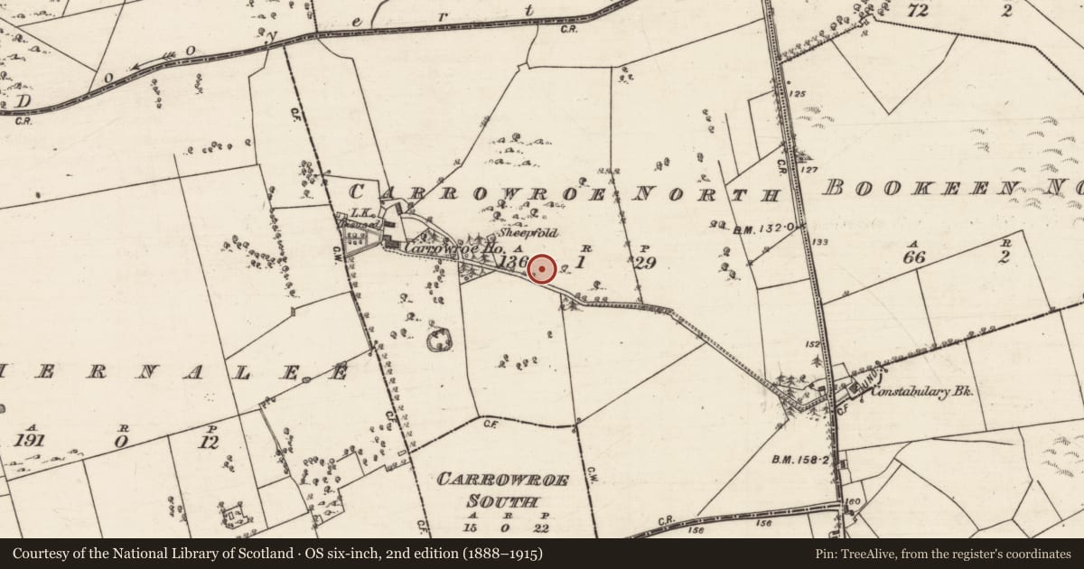 Ordnance Survey six-inch map, 2nd edition (1888–1915) covering the location of Souterrain, Carrowroe North, County Galway, with a pin at the register's coordinates