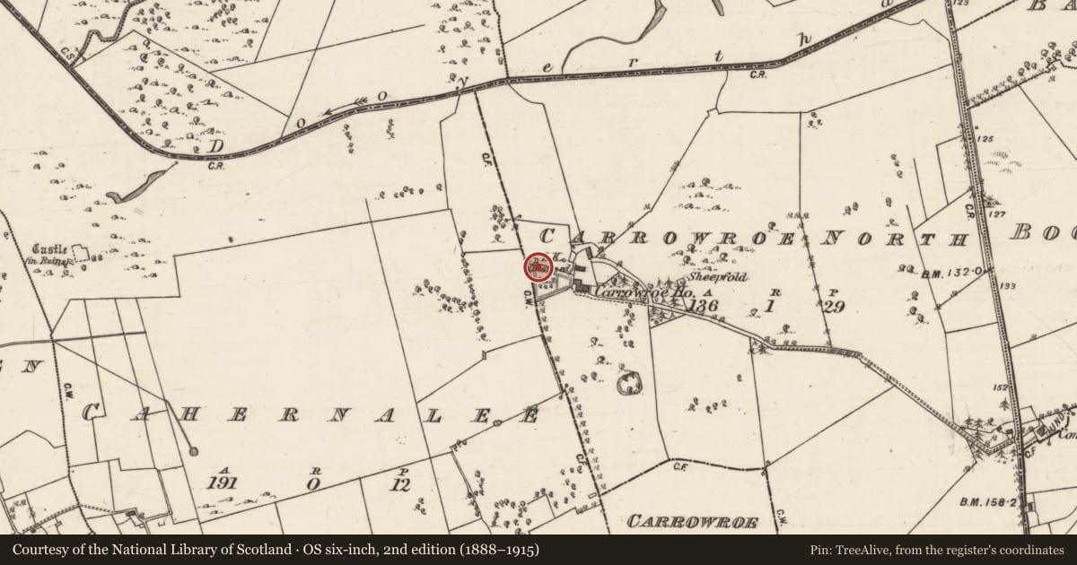 Ordnance Survey six-inch map, 2nd edition (1888–1915) covering the location of Designed landscape - folly, Carrowroe North, County Galway, with a pin at the register's coordinates