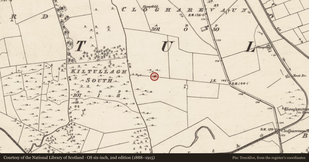 Ordnance Survey six-inch map, 2nd edition (1888–1915) covering the location of Ringfort - cashel, Clogharevaun, County Galway, with a pin at the register's coordinates