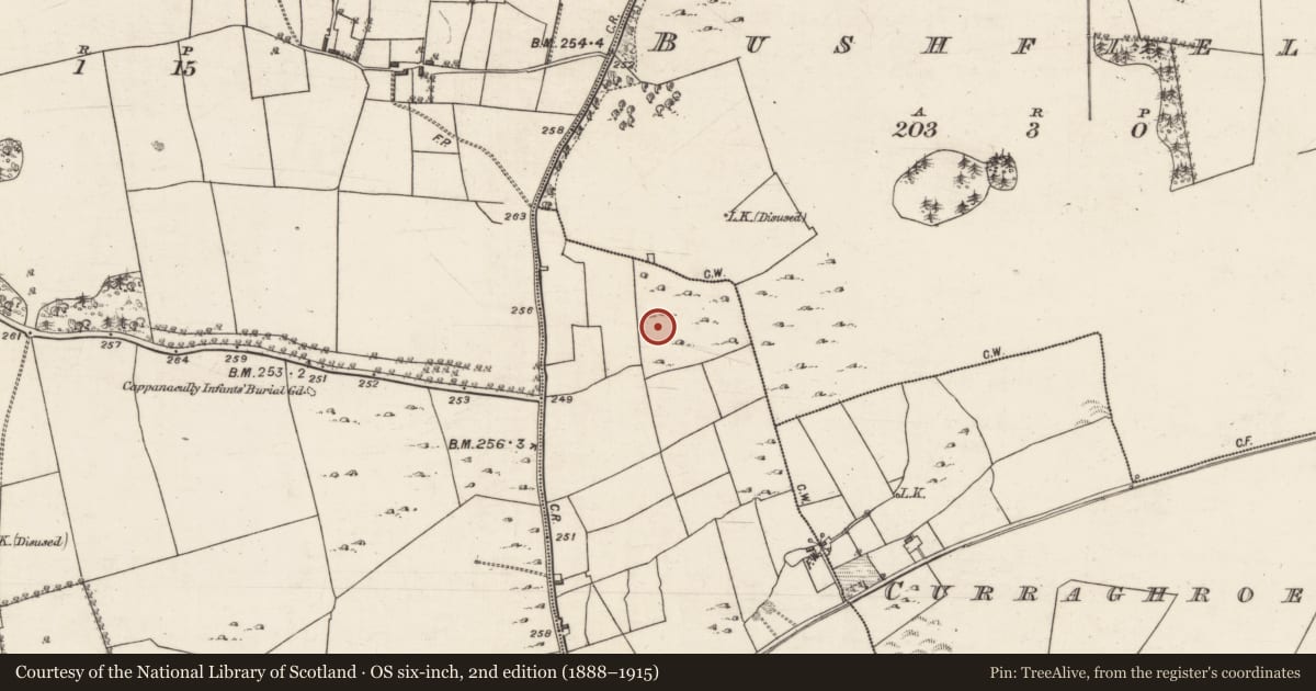 Ordnance Survey six-inch map, 2nd edition (1888–1915) covering the location of Ringfort - cashel, Coorbaun, County Galway, with a pin at the register's coordinates