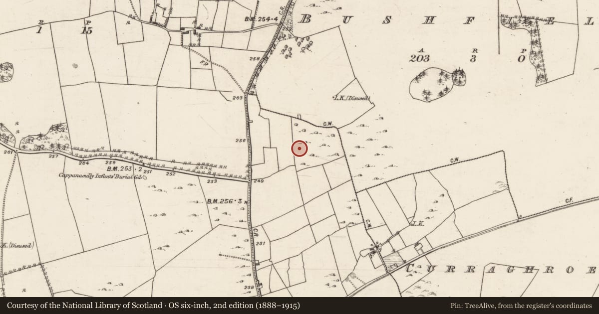 Ordnance Survey six-inch map, 2nd edition (1888–1915) covering the location of Souterrain, Coorbaun, County Galway, with a pin at the register's coordinates